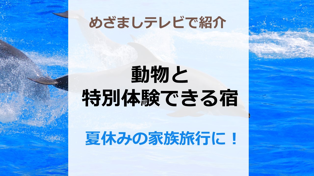 めざましテレビで紹介「動物と特別体験できる宿」 夏休みの家族旅行に！